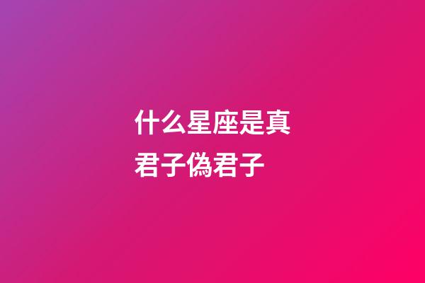 什么星座是真君子偽君子-第1張-星座運勢-玄機派
