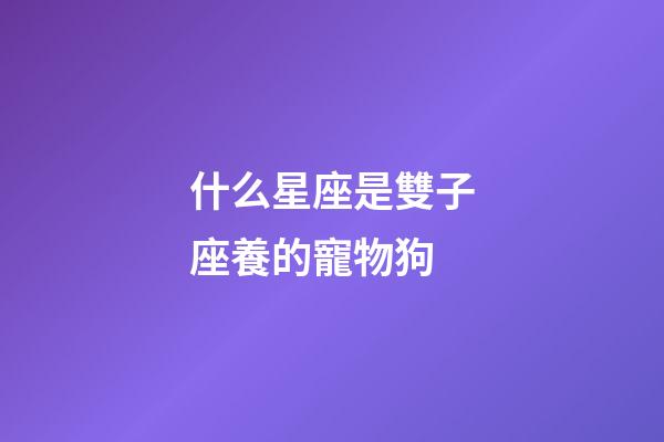 什么星座是雙子座養的寵物狗-第1張-星座運勢-玄機派