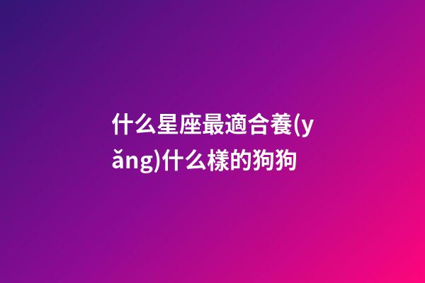 什么星座最適合養(yǎng)什么樣的狗狗-第1張-星座運勢-玄機派