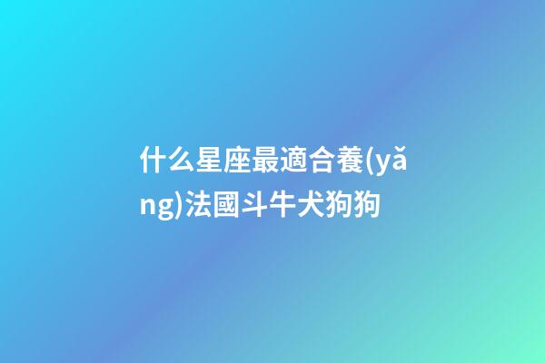 什么星座最適合養(yǎng)法國斗牛犬狗狗-第1張-星座運勢-玄機派