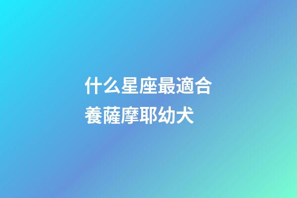 什么星座最適合養薩摩耶幼犬
