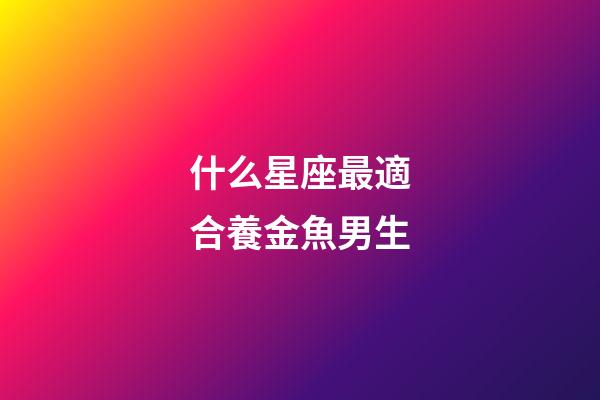 什么星座最適合養金魚男生-第1張-星座運勢-玄機派