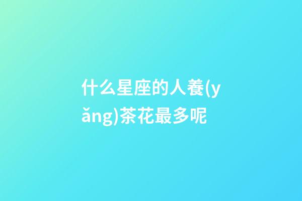 什么星座的人養(yǎng)茶花最多呢-第1張-星座運勢-玄機派