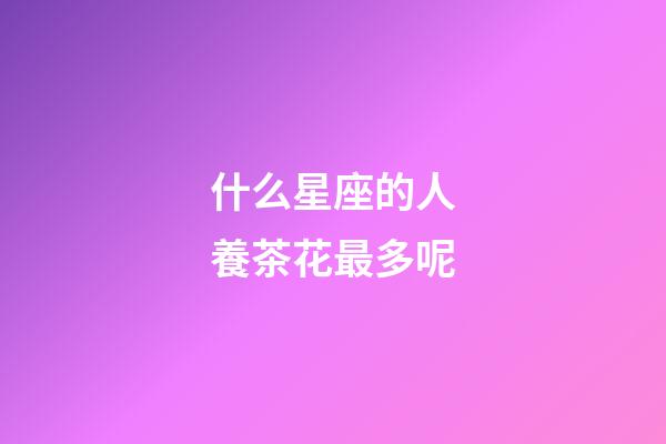 什么星座的人養茶花最多呢
