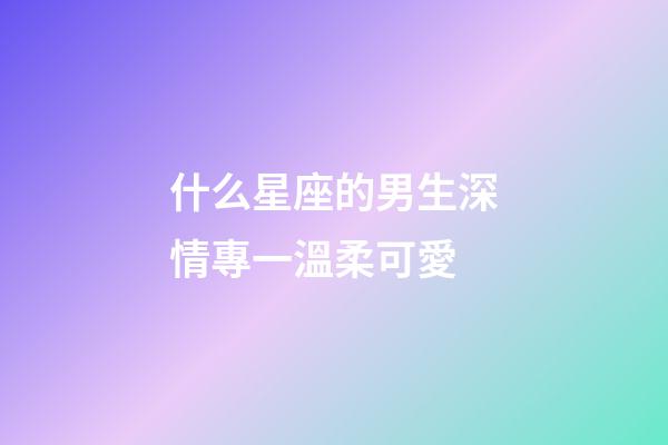 什么星座的男生深情專一溫柔可愛-第1張-星座運勢-玄機派