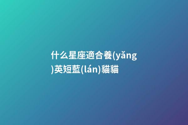 什么星座適合養(yǎng)英短藍(lán)貓貓