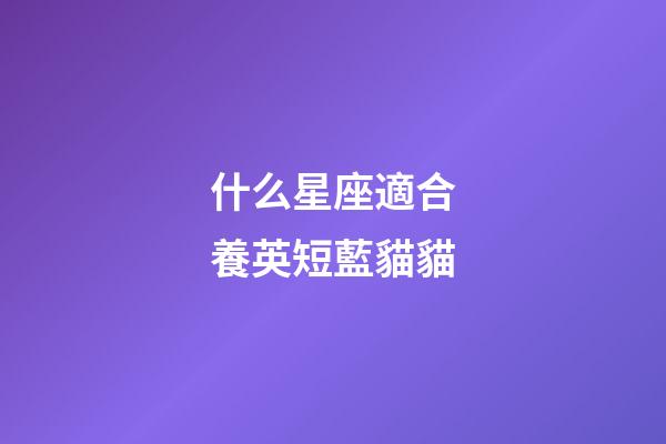 什么星座適合養英短藍貓貓-第1張-星座運勢-玄機派