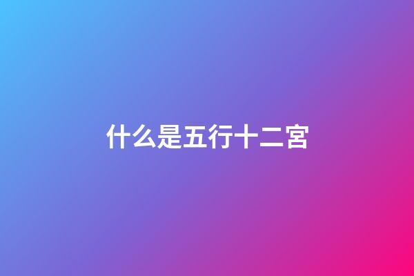 什么是五行十二宮