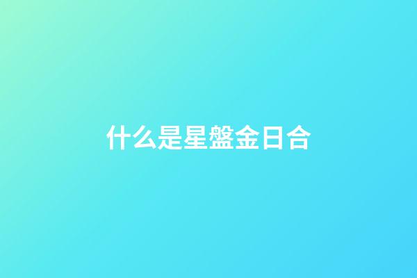 什么是星盤金日合-第1張-星座運(yùn)勢-玄機(jī)派