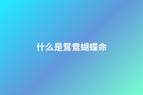 什么是鴛鴦蝴蝶命