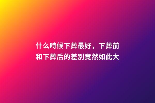 什么時候下葬最好，下葬前和下葬后的差別竟然如此大-第1張-觀點-玄機派