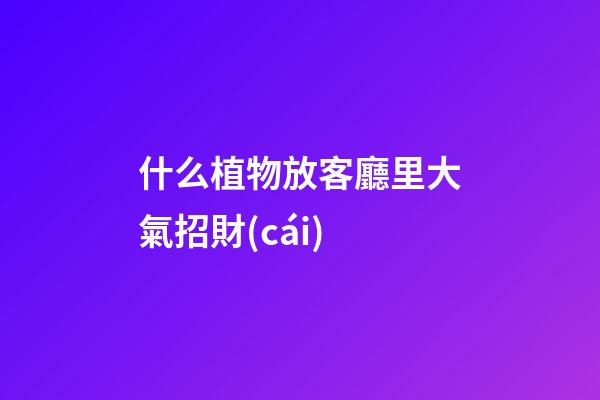 什么植物放客廳里大氣招財(cái)