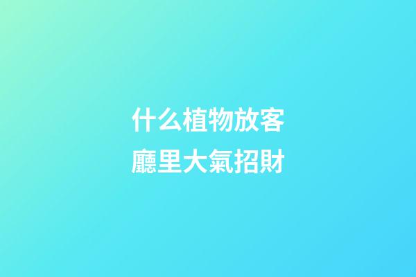什么植物放客廳里大氣招財