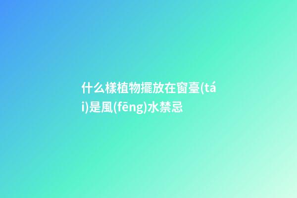什么樣植物擺放在窗臺(tái)是風(fēng)水禁忌