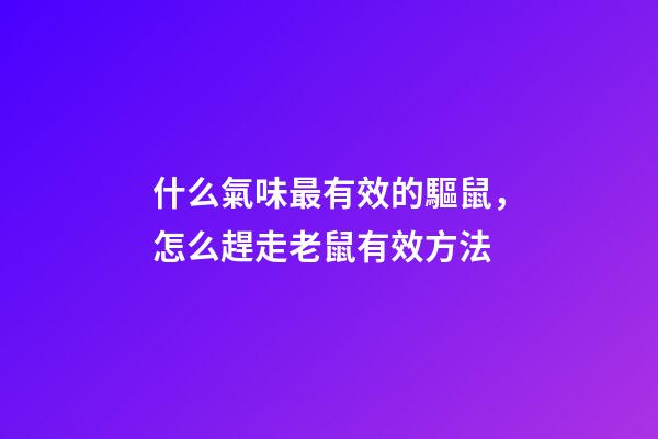 什么氣味最有效的驅鼠，怎么趕走老鼠有效方法-第1張-觀點-玄機派