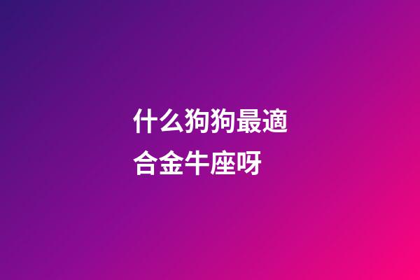 什么狗狗最適合金牛座呀-第1張-星座運勢-玄機派