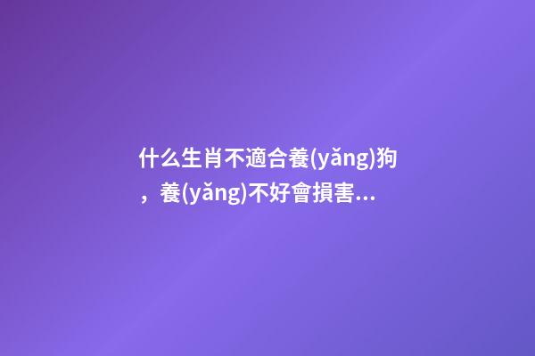 什么生肖不適合養(yǎng)狗，養(yǎng)不好會損害主人運勢