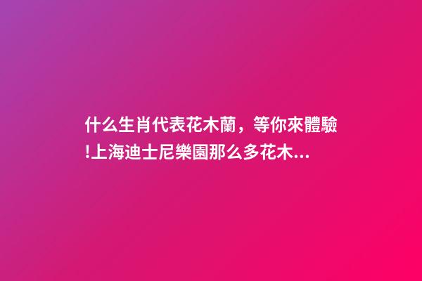 什么生肖代表花木蘭，等你來體驗!上海迪士尼樂園那么多花木蘭主題你找到了么