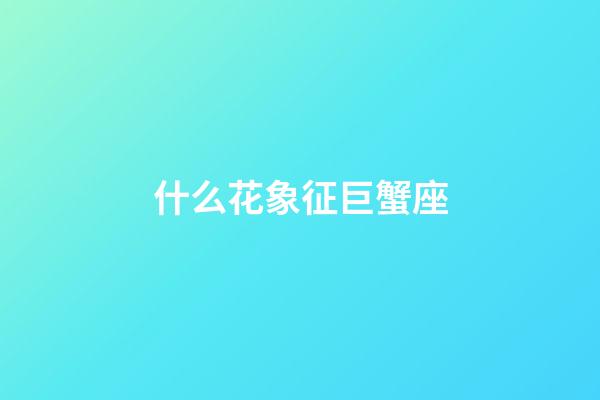 什么花象征巨蟹座