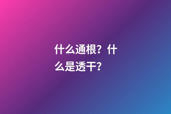 什么通根？什么是透干？