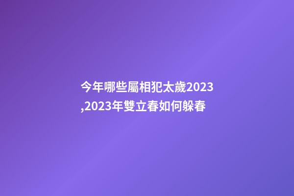 今年哪些屬相犯太歲2023,2023年雙立春如何躲春-第1張-觀點(diǎn)-玄機(jī)派
