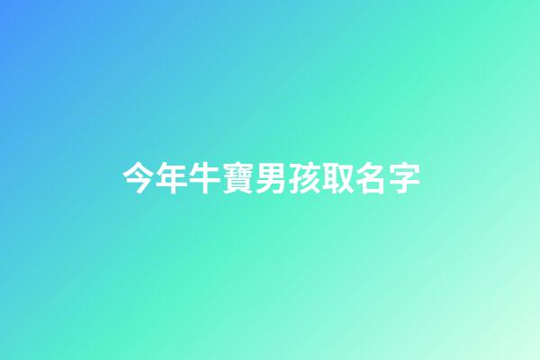 今年牛寶男孩取名字(今年牛寶寶男孩名字)-第1張-男孩起名-玄機派