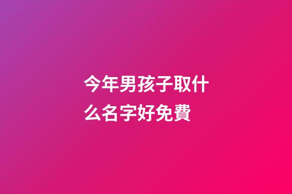 今年男孩子取什么名字好免費(今年男孩取什么名字好免費的)-第1張-男孩起名-玄機派