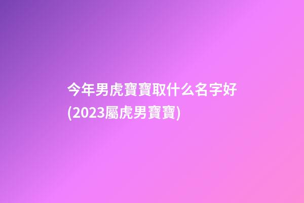 今年男虎寶寶取什么名字好(2023屬虎男寶寶)