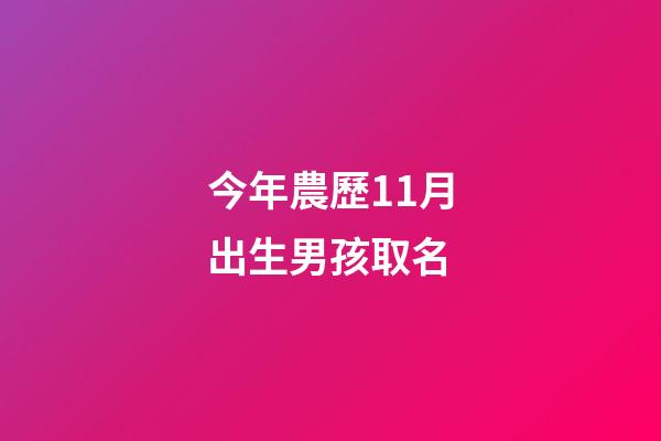 今年農歷11月出生男孩取名(今年農歷11月出生男孩取名大全)-第1張-男孩起名-玄機派