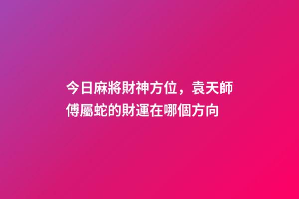 今日麻將財神方位，袁天師傅屬蛇的財運在哪個方向-第1張-觀點-玄機派