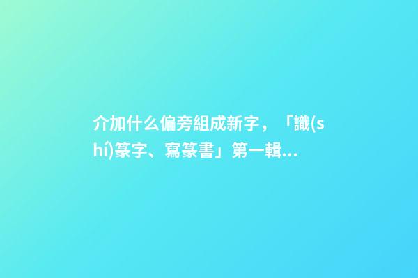 介加什么偏旁組成新字，「識(shí)篆字、寫篆書」第一輯(一)人、介、身-第1張-觀點(diǎn)-玄機(jī)派