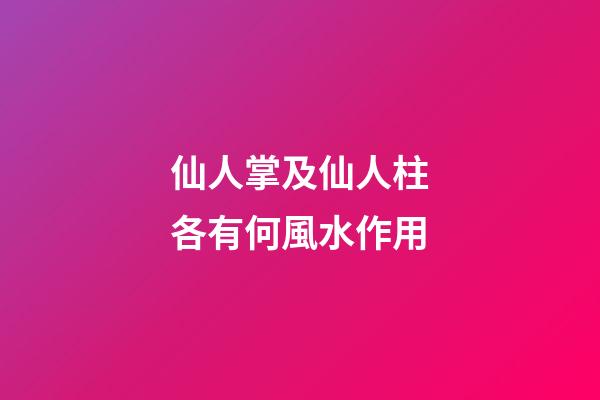 仙人掌及仙人柱各有何風水作用?