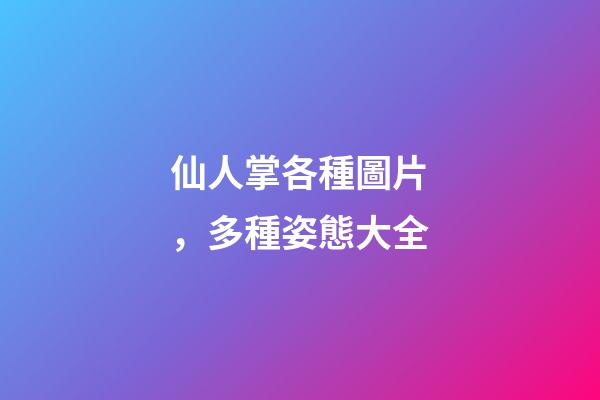 仙人掌各種圖片，多種姿態大全-第1張-觀點-玄機派
