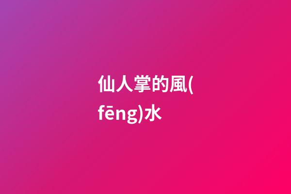 仙人掌的風(fēng)水