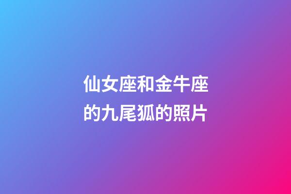 仙女座和金牛座的九尾狐的照片-第1張-星座運勢-玄機派