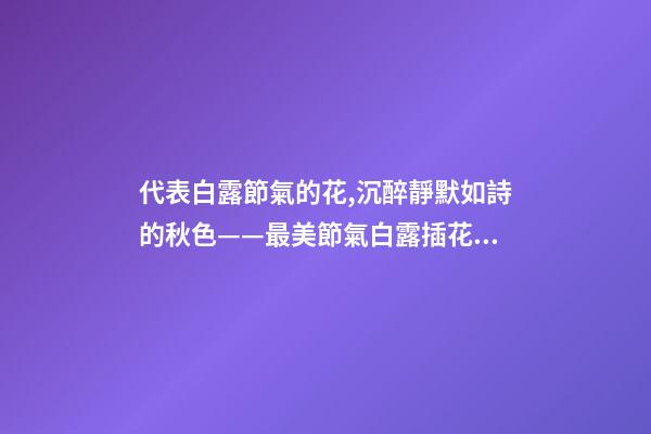 代表白露節氣的花,沉醉靜默如詩的秋色——最美節氣白露插花集萃-第1張-觀點-玄機派