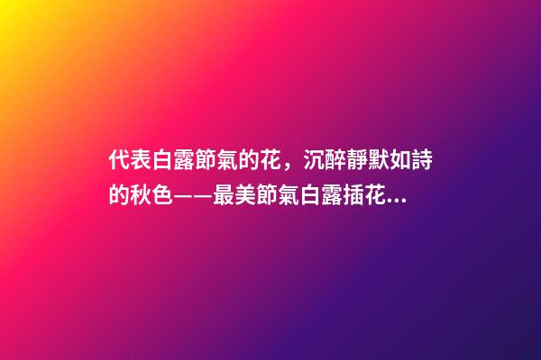 代表白露節氣的花，沉醉靜默如詩的秋色——最美節氣白露插花集萃-第1張-觀點-玄機派