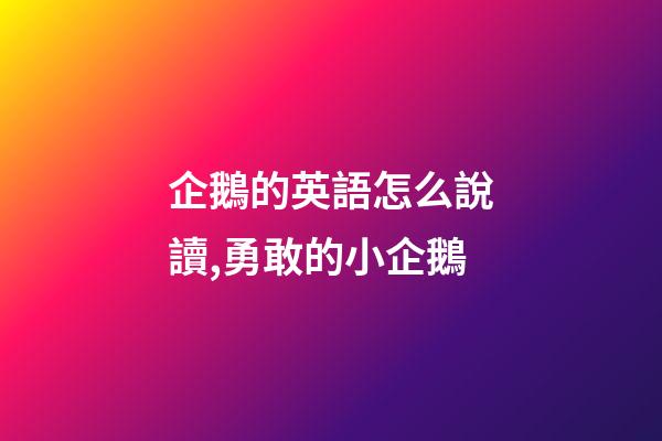 企鵝的英語怎么說讀,勇敢的小企鵝-第1張-觀點-玄機派