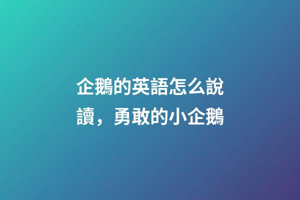 企鵝的英語怎么說讀，勇敢的小企鵝-第1張-觀點-玄機派