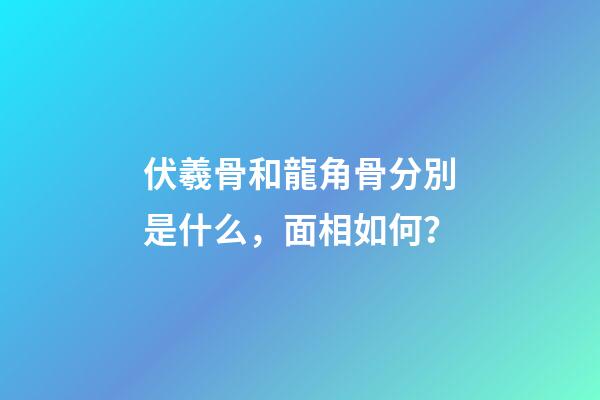 伏羲骨和龍角骨分別是什么，面相如何？