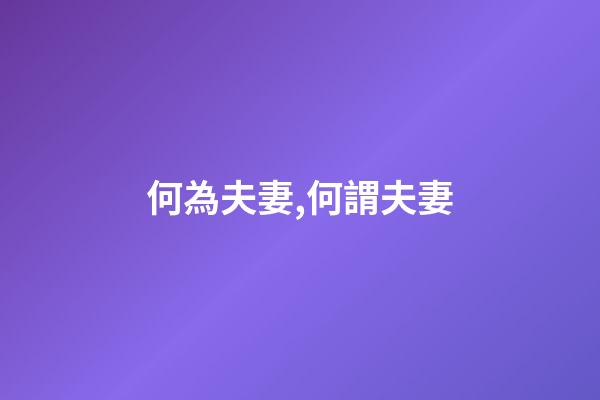 何為夫妻,何謂夫妻-第1張-觀點-玄機派