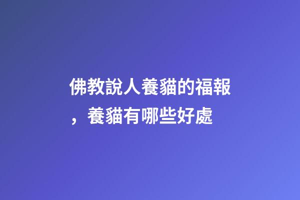 佛教說人養貓的福報，養貓有哪些好處