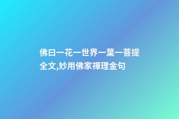 佛曰一花一世界一葉一菩提全文,妙用佛家禪理金句-第1張-觀點-玄機派
