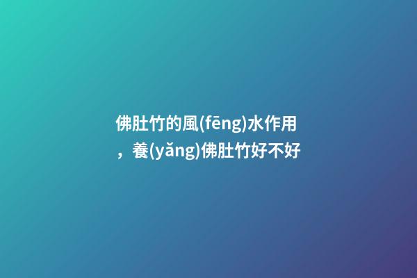 佛肚竹的風(fēng)水作用，養(yǎng)佛肚竹好不好