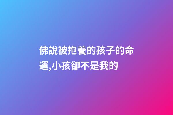 佛說被抱養的孩子的命運,小孩卻不是我的-第1張-觀點-玄機派