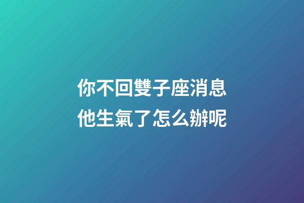 你不回雙子座消息他生氣了怎么辦呢-第1張-星座運勢-玄機派