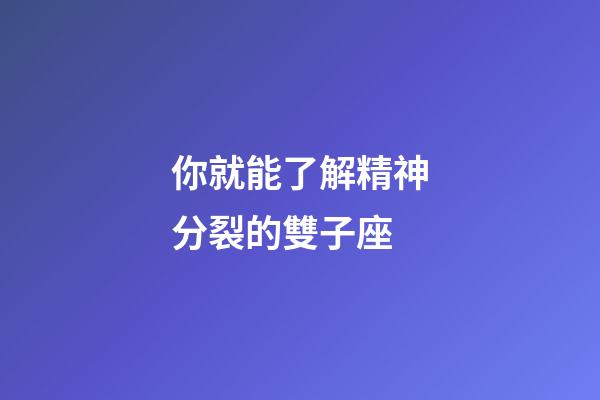 你就能了解精神分裂的雙子座