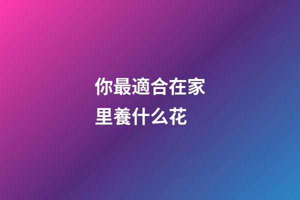 你最適合在家里養什么花