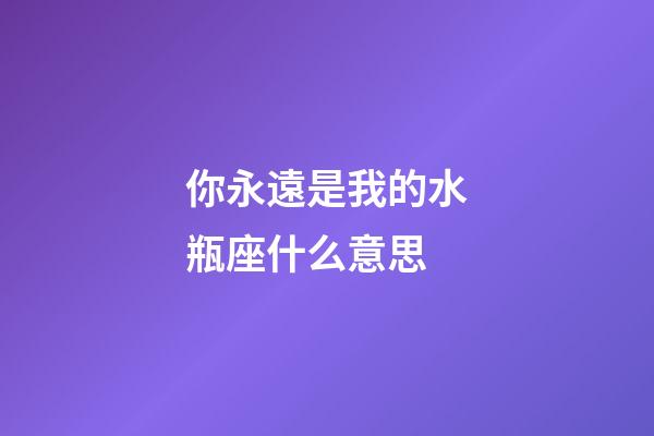 你永遠是我的水瓶座什么意思-第1張-星座運勢-玄機派