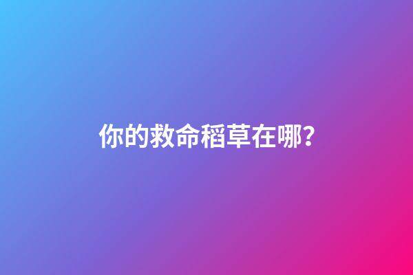 你的救命稻草在哪？